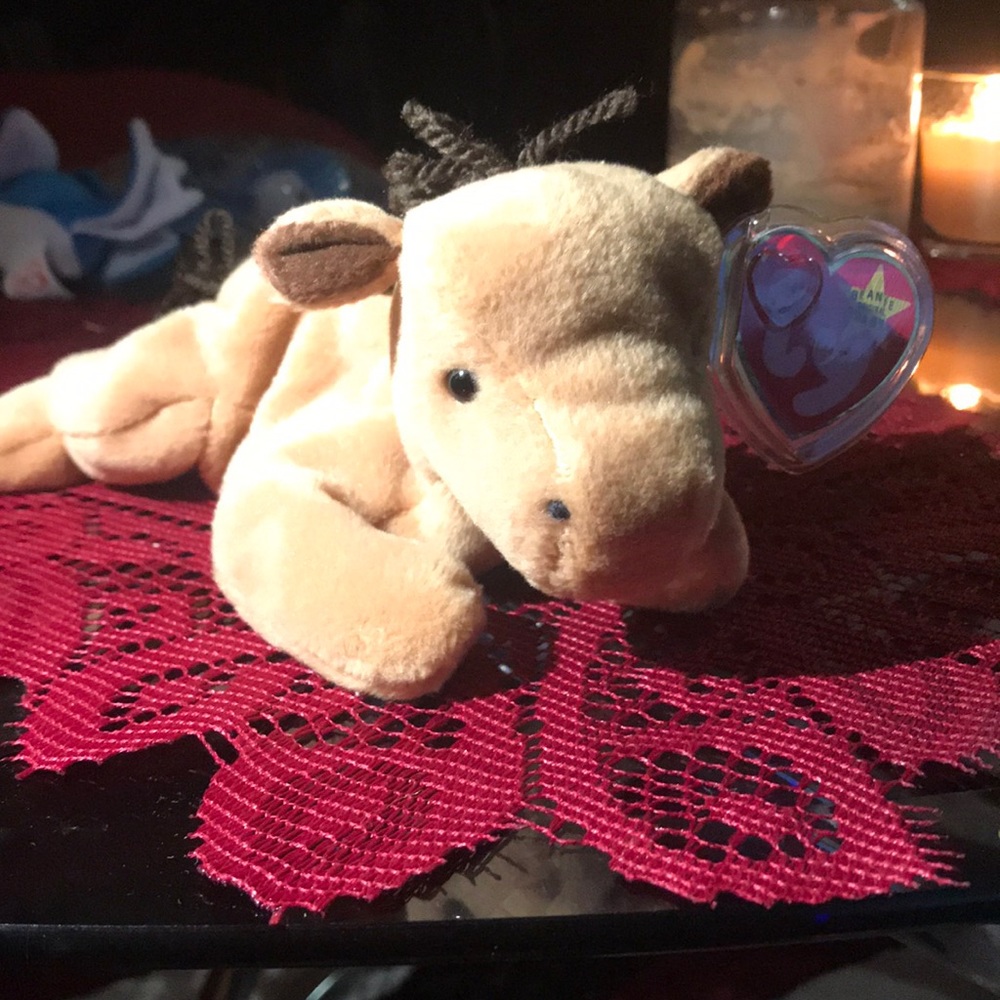 Rare error retired derby beanie babies 95